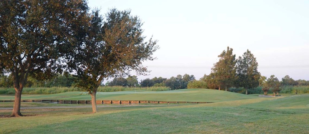 view of golf course green